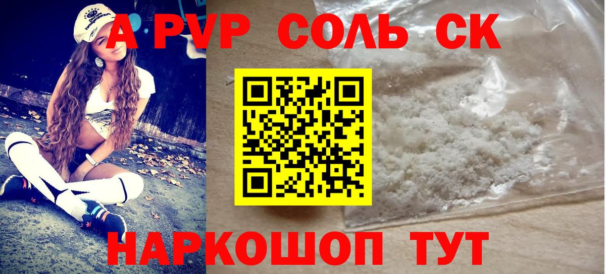 Alfa_PVP СК КРИС Горно-Алтайск