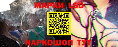 шишки Боровичи