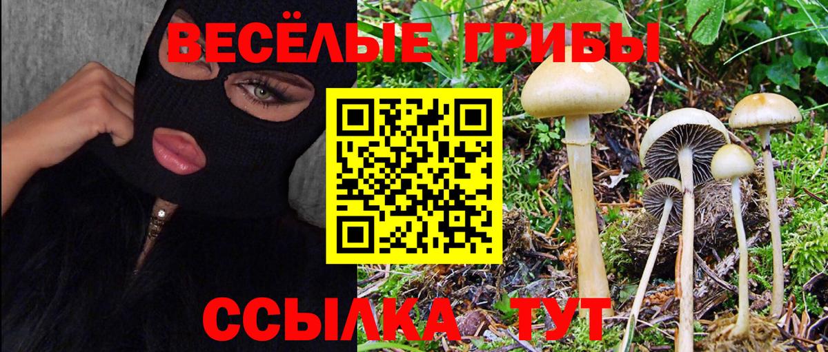 Псилоцибиновые грибы мицелий  Псилоцибиновые грибы Magic Shrooms  Вход с VPN  дарнет шоп  Горно-Алтайск 